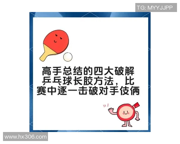 周娜独家揭秘乒乓球技巧与心得分享助你提升球技的秘诀