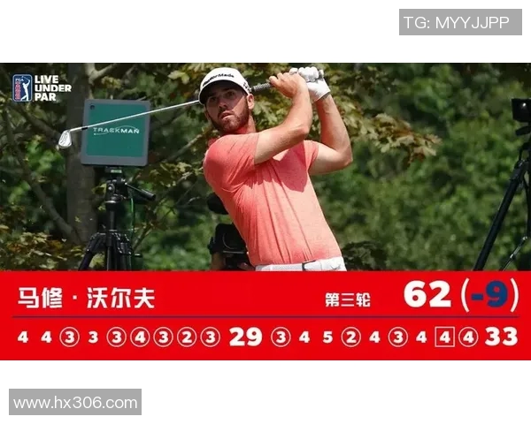 多特蒙德与沃尔夫历史交锋战绩分析及数据回顾