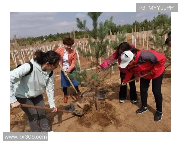 焦泊乔:在时代浪潮中坚定前行的青年力量与梦想追寻 焦泊乔:在时代浪潮中坚定前行的青年力量与梦想追寻