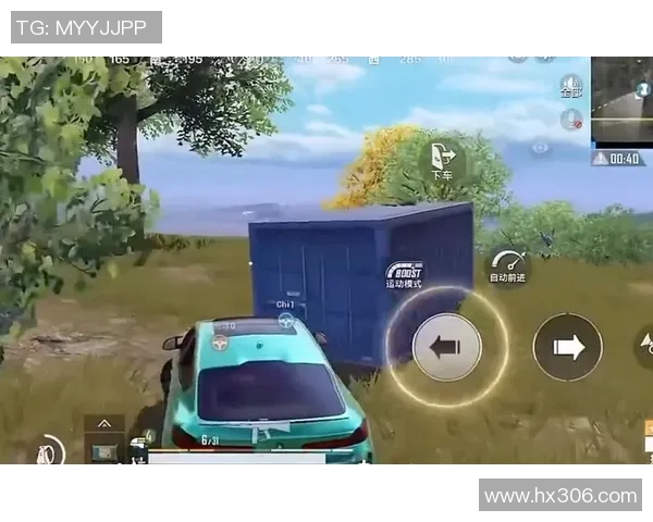 和平精英新手必看团队协作技巧与策略全面解析