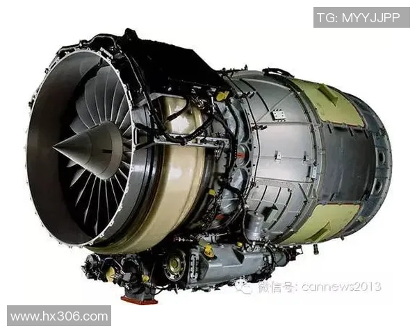 上海排球队进攻革新之路：技术创新与战术变革的深度解析