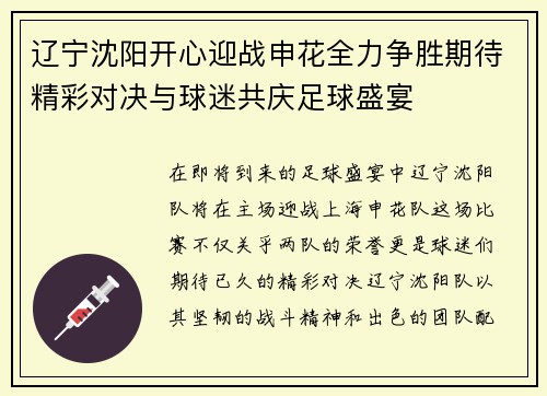辽宁沈阳开心迎战申花全力争胜期待精彩对决与球迷共庆足球盛宴